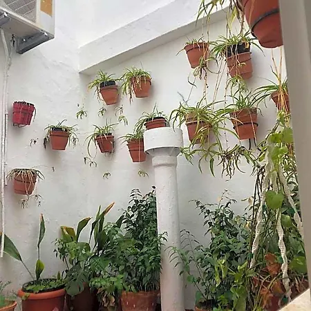 Costa Sol فندق